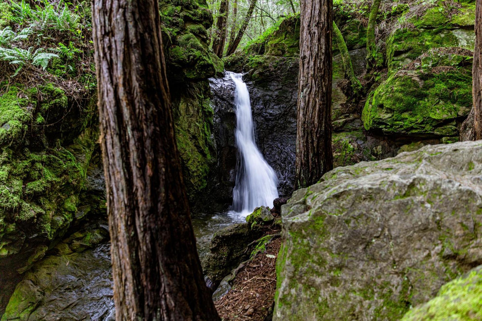 Enchanted Waterfall Sanctuary Mill Valley Esterno foto