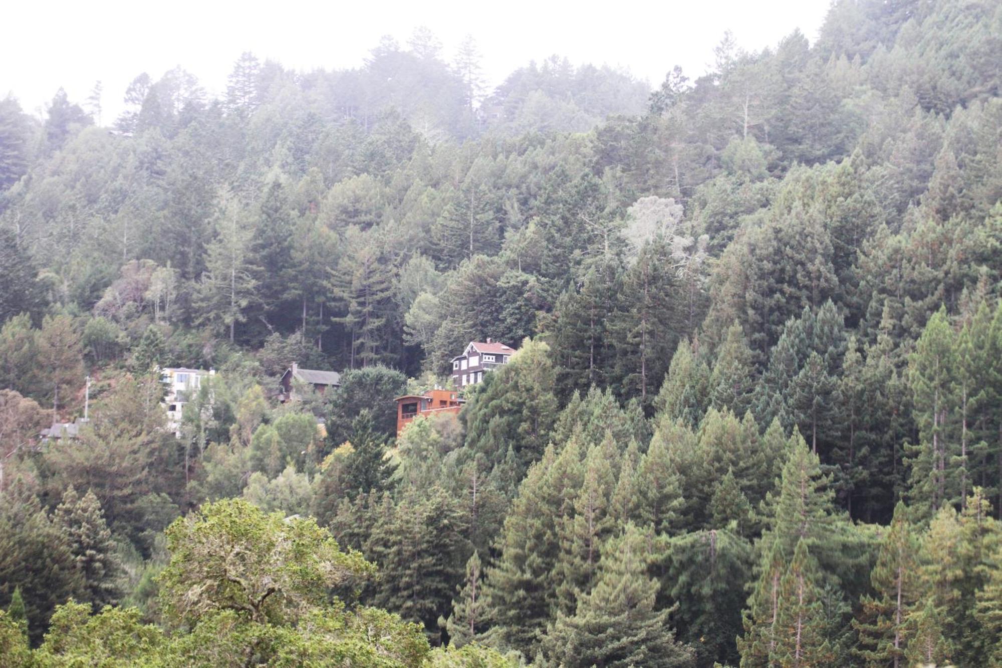 Enchanted Waterfall Sanctuary Mill Valley Esterno foto